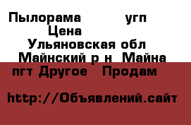 Пылорама Woodver угп2-600 › Цена ­ 850 000 - Ульяновская обл., Майнский р-н, Майна пгт Другое » Продам   